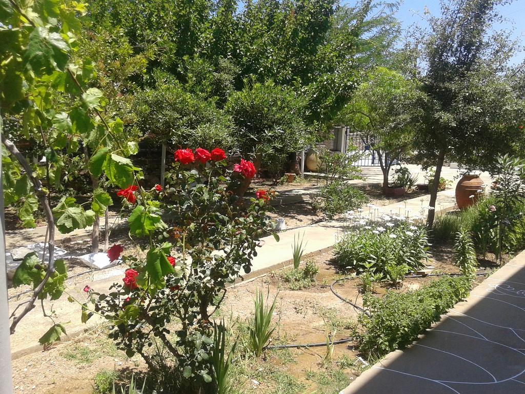 Aegean Harmony Daire Platis Gialos  Dış mekan fotoğraf