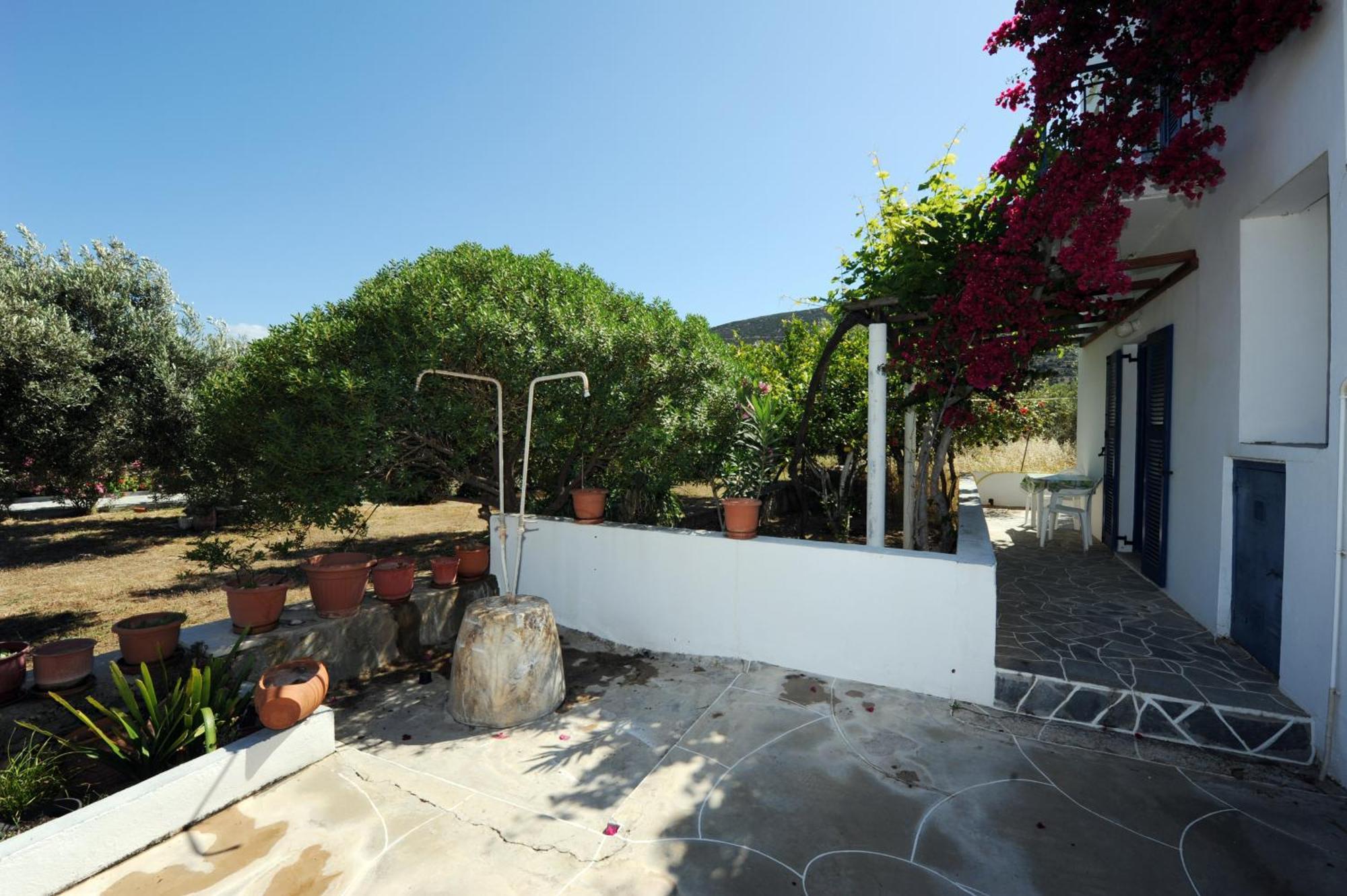 Aegean Harmony Daire Platis Gialos  Dış mekan fotoğraf