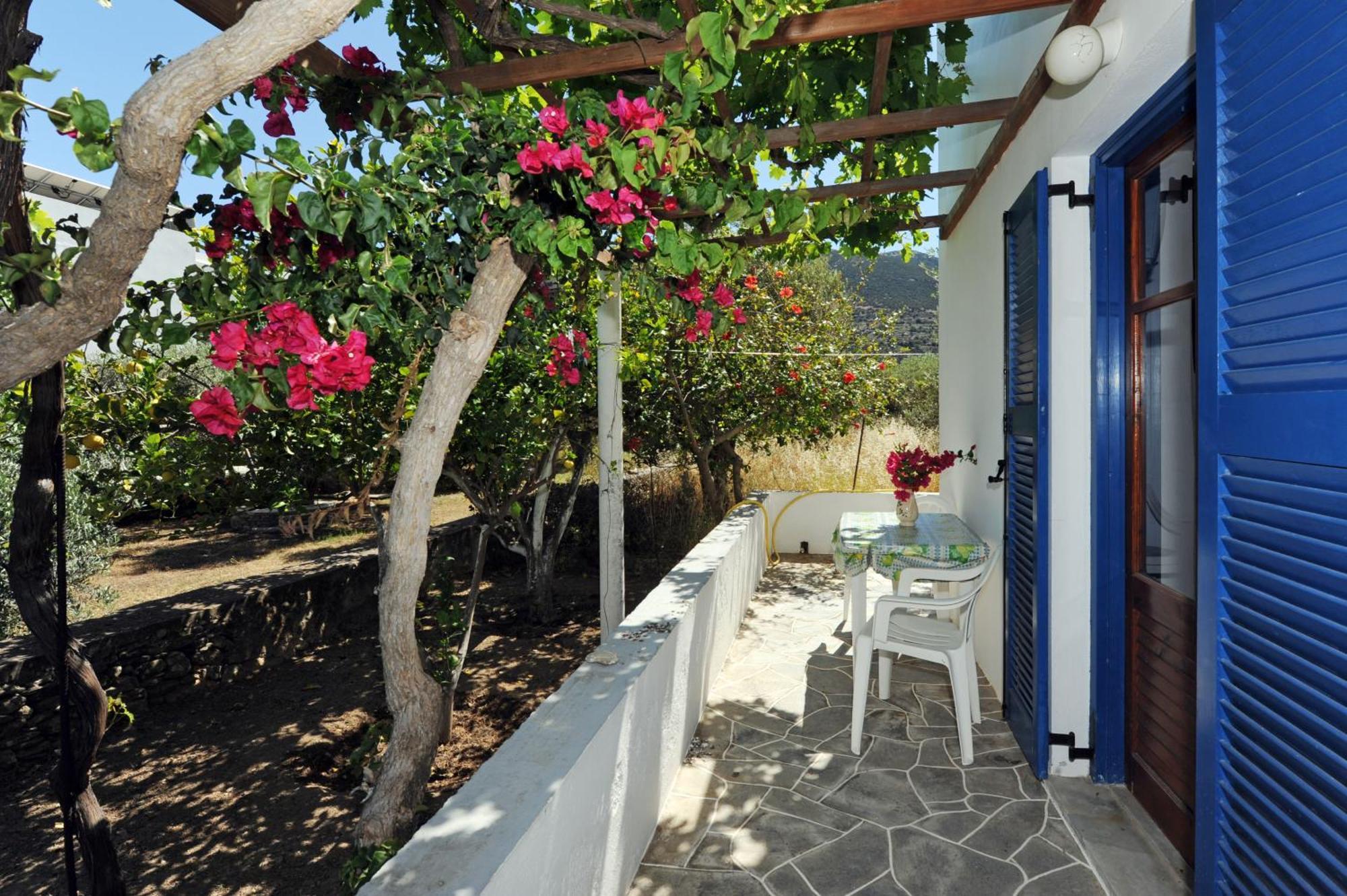 Aegean Harmony Daire Platis Gialos  Dış mekan fotoğraf