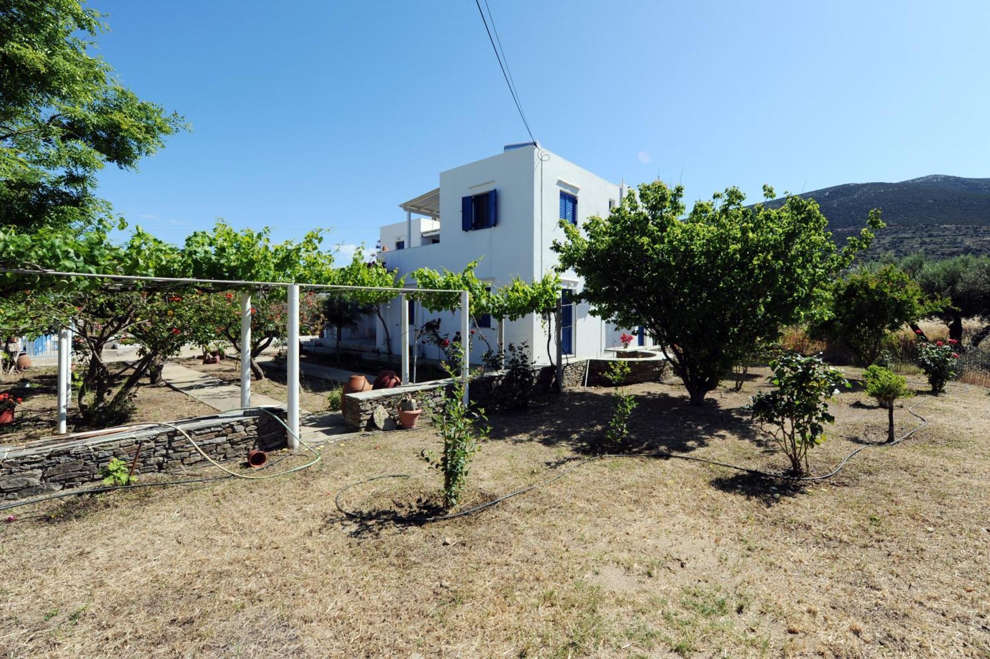 Aegean Harmony Daire Platis Gialos  Dış mekan fotoğraf